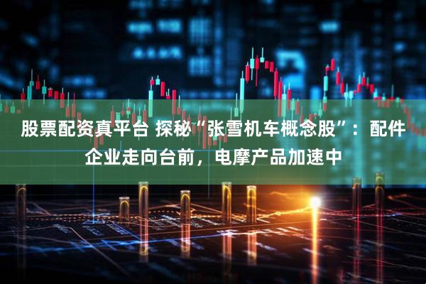 股票配资真平台 探秘“张雪机车概念股”：配件企业走向台前，电摩产品加速中